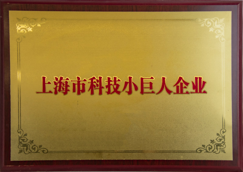 科技幼巨人企业